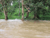 Children Playing Amazon