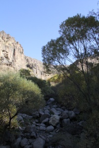 Armenia Nature