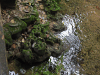 Limestone Formations Creek Palenque