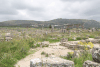 View Over Volubilis